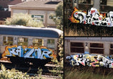 RAZOR- Colorz On Steel, gebundenes Harcoverbuch (Deutschland, 2017)